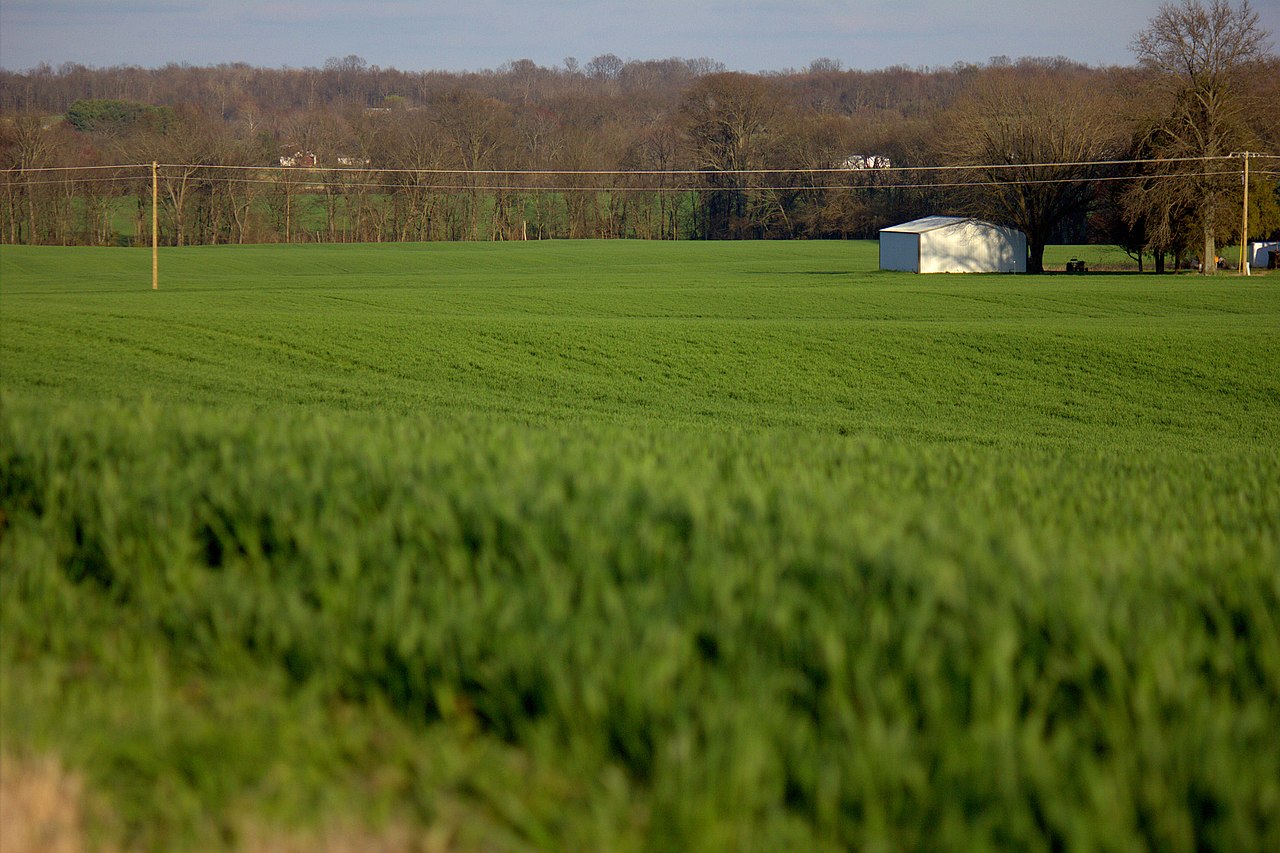 Grassy Illinois farmland.
