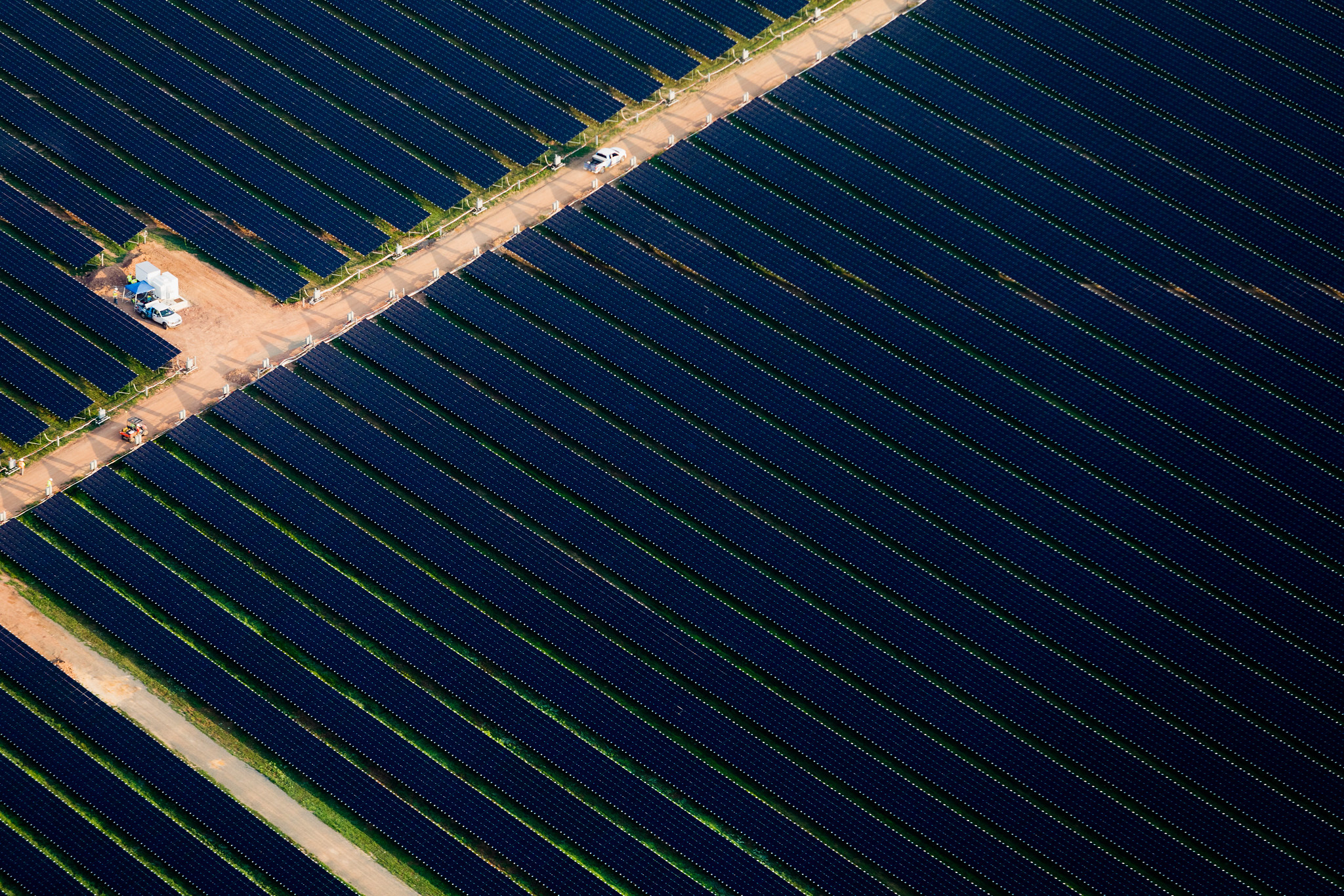 Rows upon rows of solar panels, seen from above.